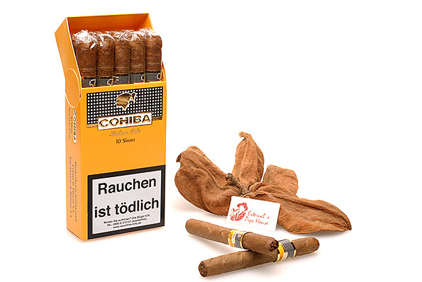 Cohiba Short 10 Zigarillos  Cohiba Short 10 Zigarillos